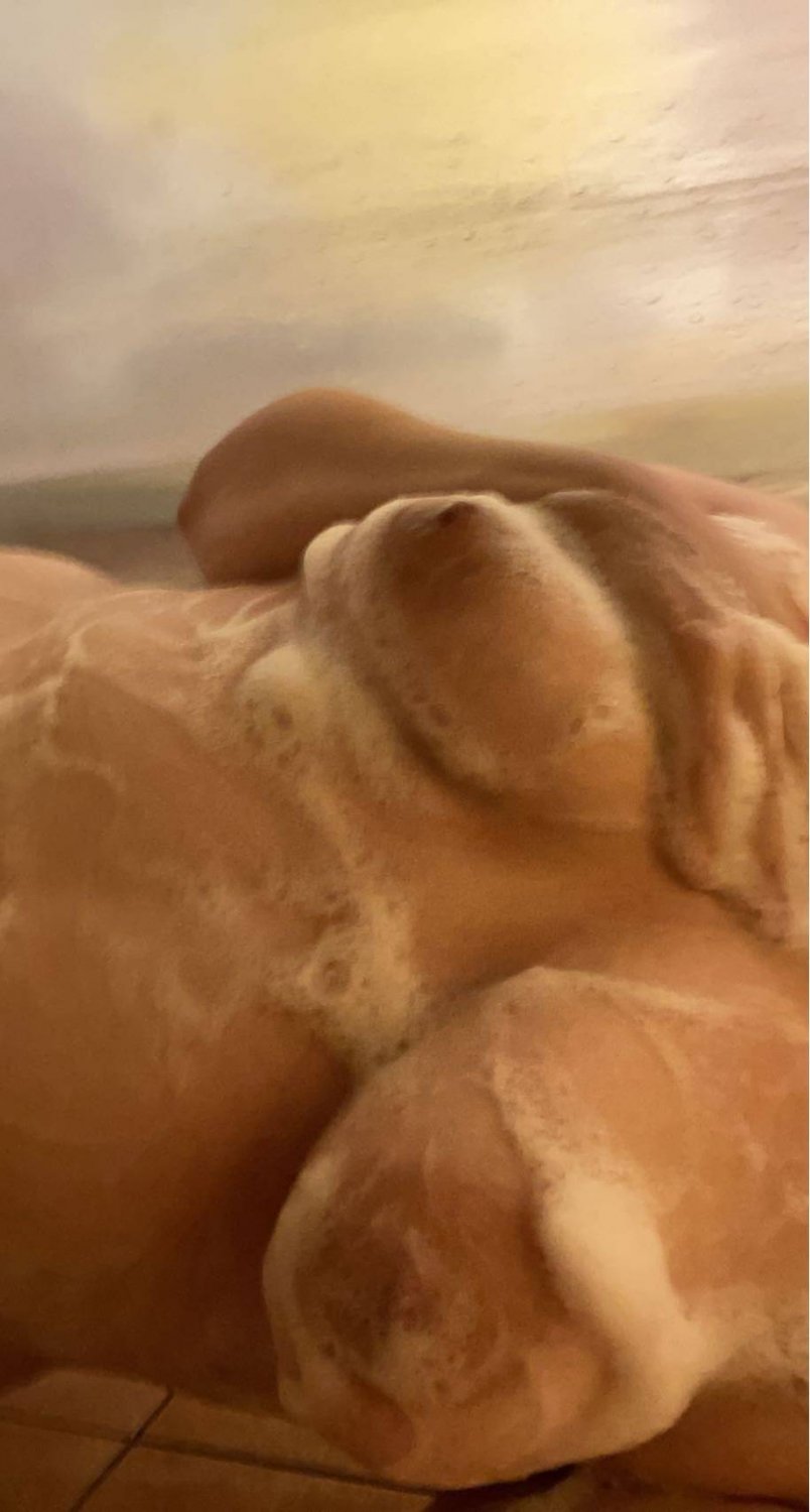 sexy goth girl exposed #4WWHu8ed